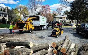Best Tree and Shrub Care  in Oconto, WI