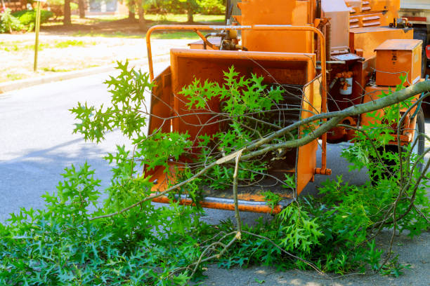 Grass Overseeding in Oconto, WI