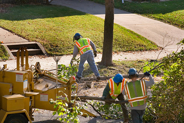 Best Utility Line Clearance  in Oconto, WI