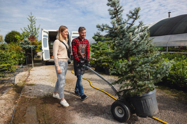Best Organic Lawn Care Solutions  in Oconto, WI